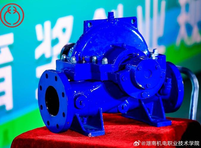 泵"发创业新活力】"这款高效节能离心泵是我和团队花费两年研发出来的